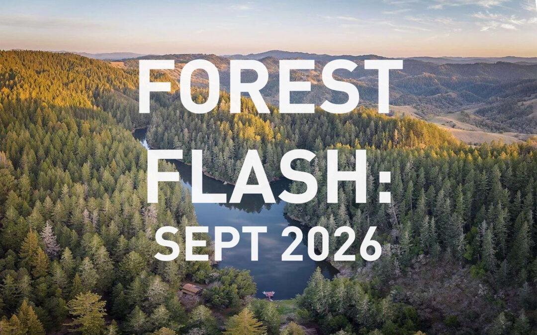 Forest Flash September 2026