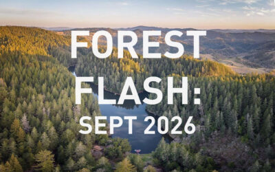 Forest Flash September 2026
