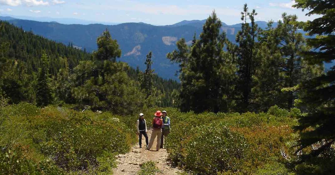 Bear_Creek_Hiking