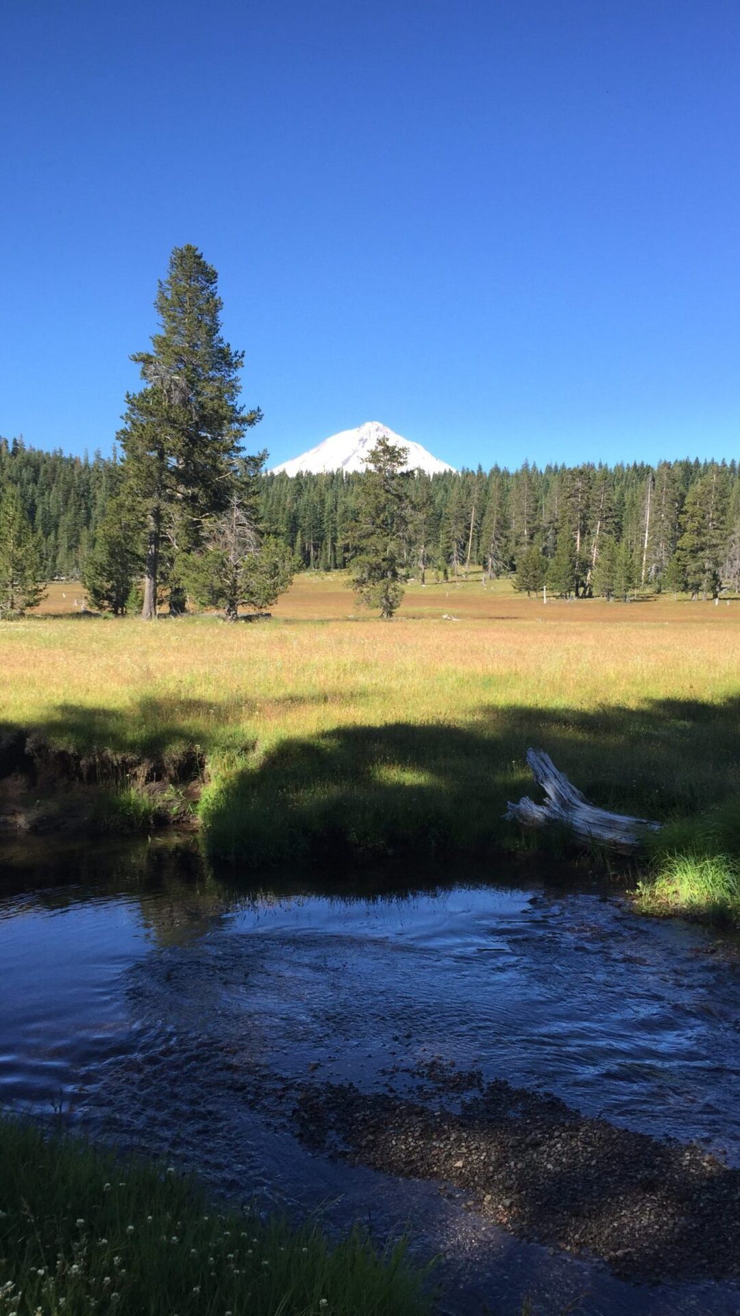 Butte-Creek-Meadows-J.Parteno_2719