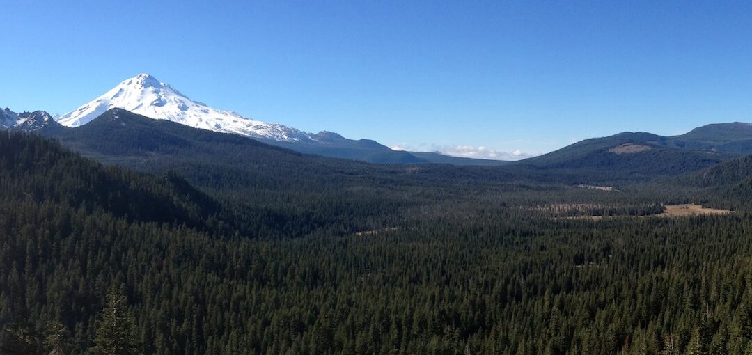 Butte_Creek_Meadows_WFCE_Justin_Garland_View