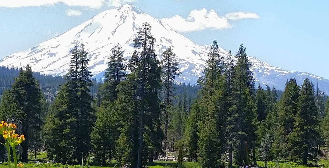 Butte_Creek_Meadows_Main