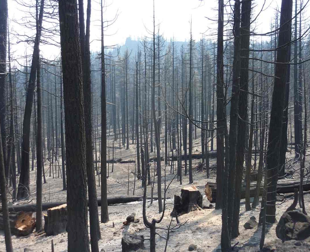 Goose_Lake_Aftermath_Barry_Point_Fire