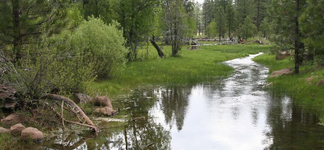 Goose_Lake_Riparian_Area_on_Modoc