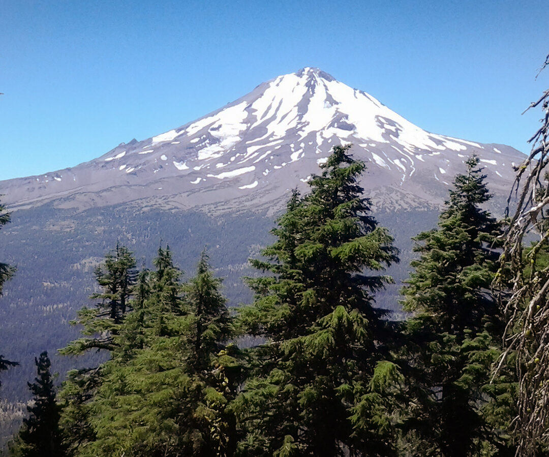 Mt Shasta View from Edge of ASh Ck Butte